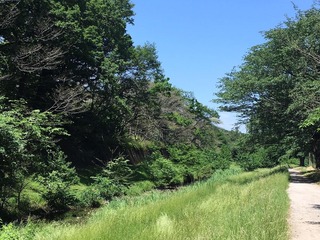 190903_2.JPG