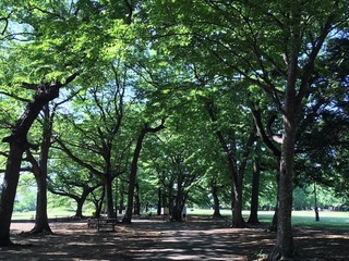 190903_3.JPG