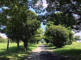 190903_6.JPG