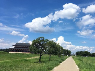 190903_7.JPG