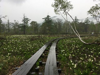 1D9E7853-A7AA-4BA3-AD7C-51F010E06958.jpeg